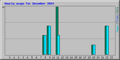 Hourly usage for December 2024