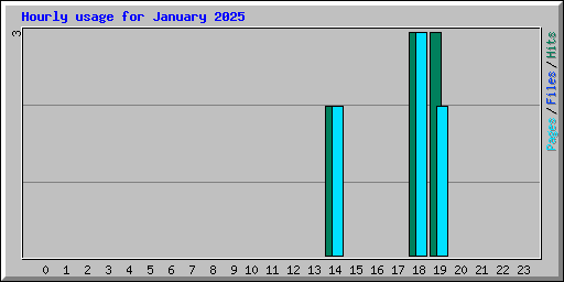 Hourly usage for January 2025